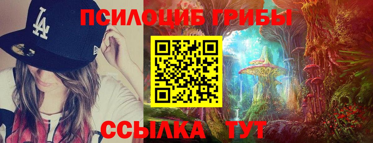 Псилоцибиновые грибы Psilocybine cubensis Сочи
