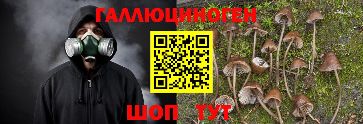 Сочи  Псилоцибиновые грибы Magic Shrooms  Вход с VPN 