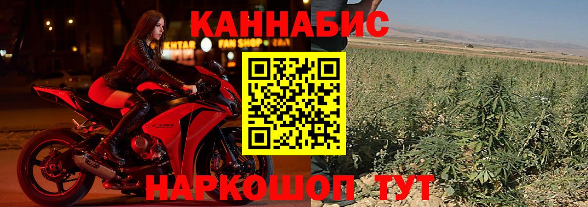 Конопля семена Сочи